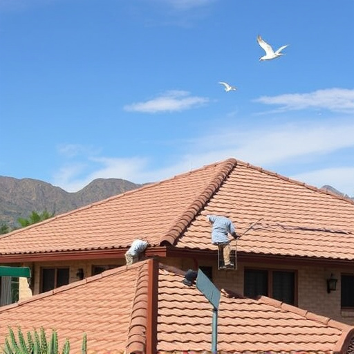 Best Roofing Contractors in Oro Valley