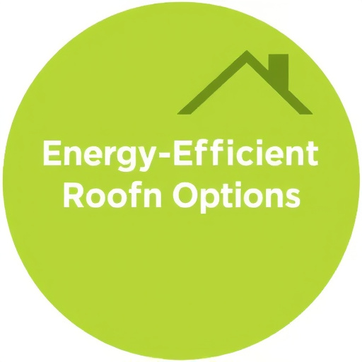 Energy-Efficient Roofing Options