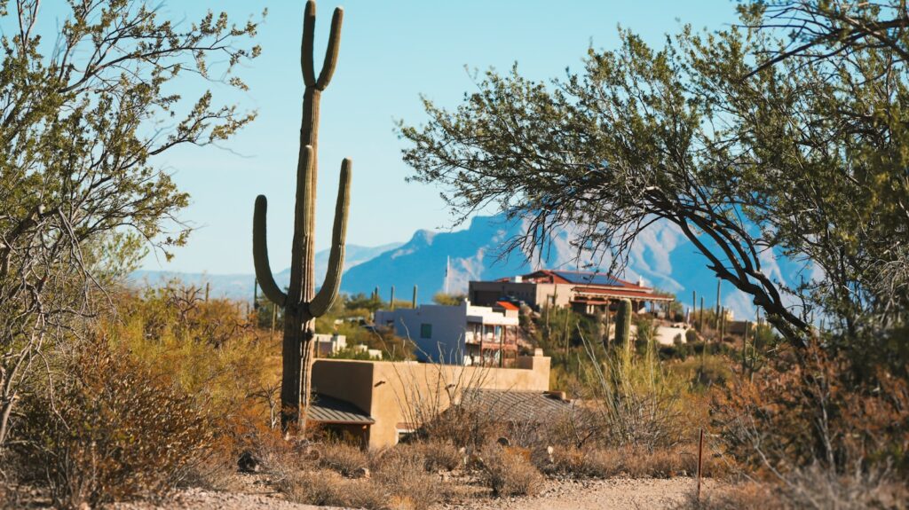 Desert landscape features a house and cactus.