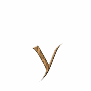 npressfetimg-142.png