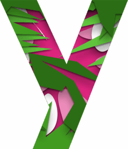 npressfetimg-69.png