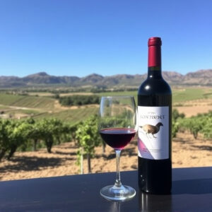 sonoita-wine-tasting-640x480-24043432.jpeg