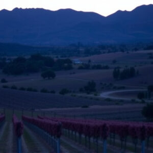sonoita-wine-tours-640x480-48542559.jpeg