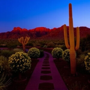 southern-arizona-wine-tours-640x480-618550.jpeg