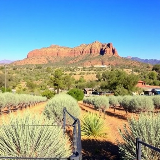 southern az wineries