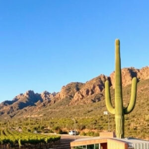 wineries-in-southern-arizona-640x480-30789883.jpeg