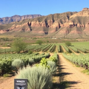 wineries-near-sonoita-az-640x480-99359592.jpeg