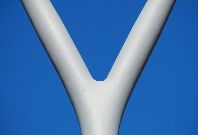 y