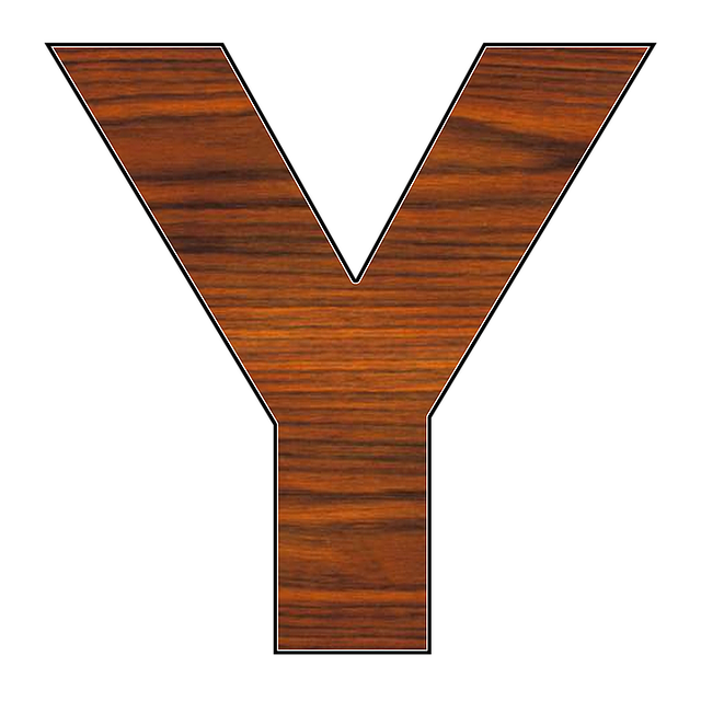 y