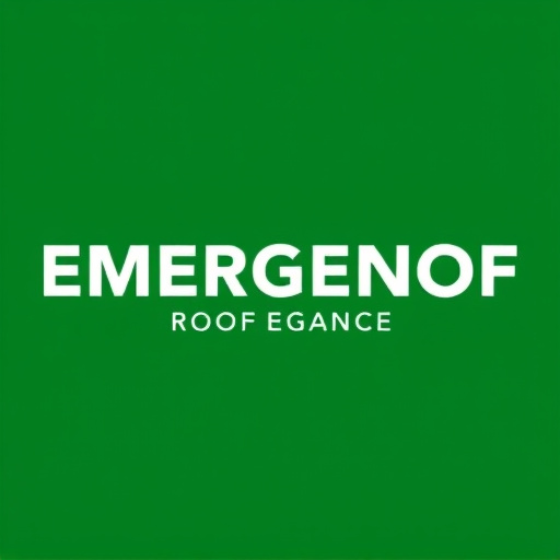 Emergency Roof Repair Oro Valley