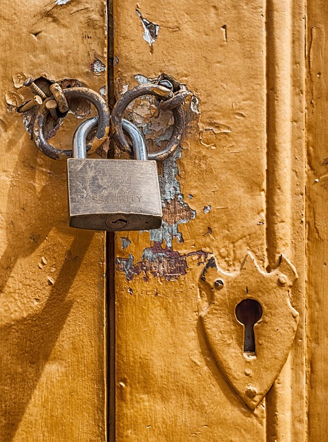 how to lubricate garage door rollers and hinges safely