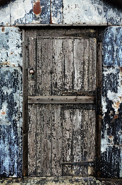 how to lubricate garage door rollers and hinges safely