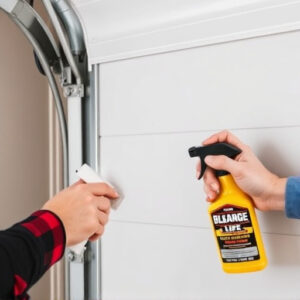 how-to-lubricate-garage-door-rollers-and-640x480-41588523.jpeg