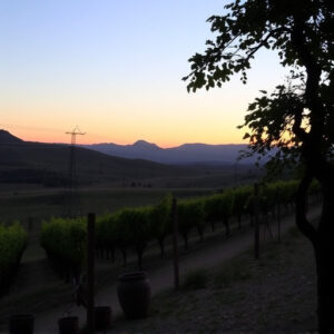 sonoita-az-wine-640x480-64939881.jpeg
