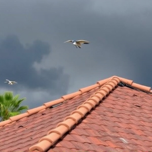 Storm Damage Roof Repair Oro Valley