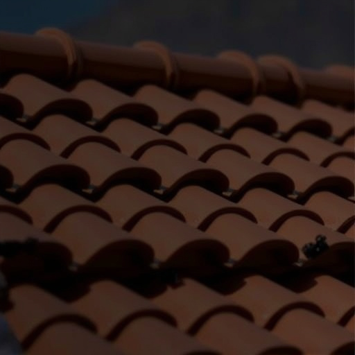 Tile Roofing Oro Valley