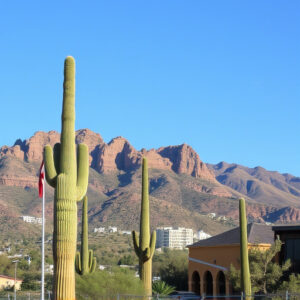 tucson-640x480-33005774.jpeg