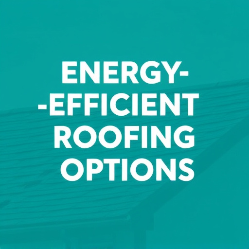 Energy-Efficient Roofing Options