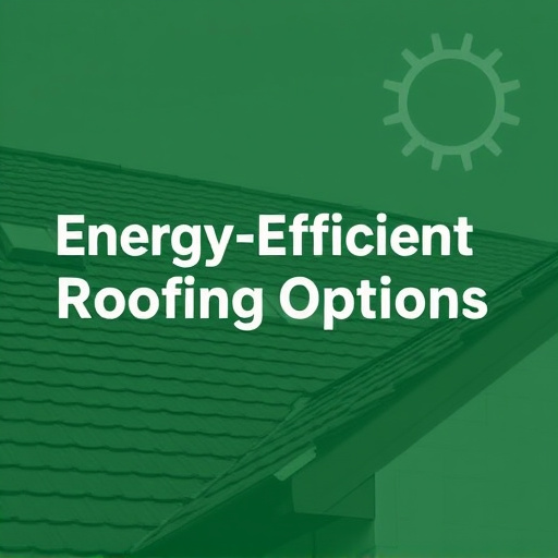 Energy-Efficient Roofing Options