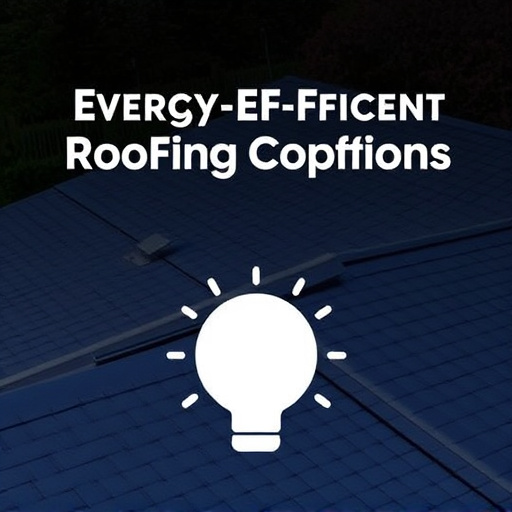 Energy-Efficient Roofing Options