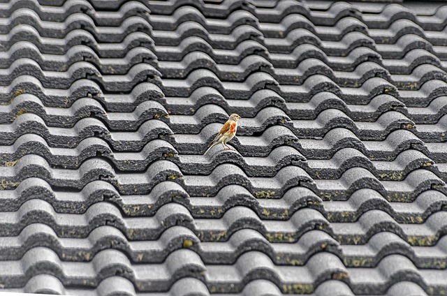 Roofing Warranties Oro Valley