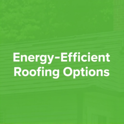 Energy-Efficient Roofing Options