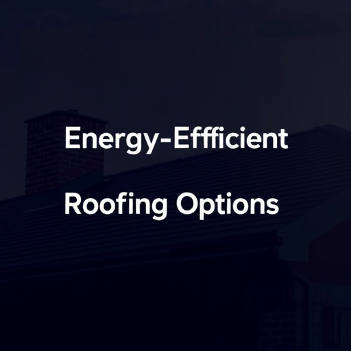 Energy-Efficient Roofing Options