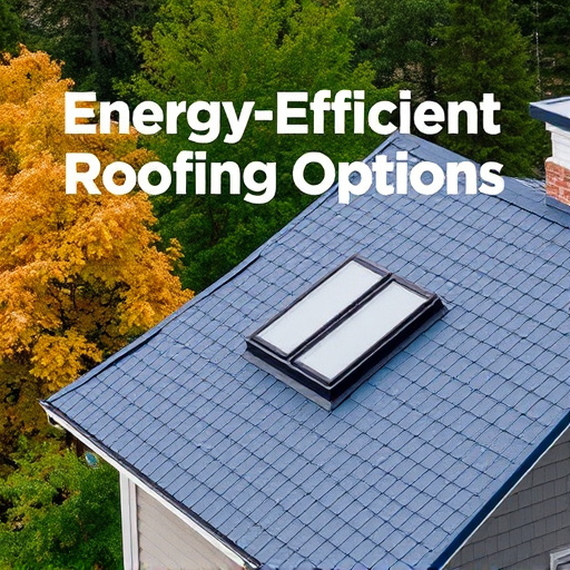 Energy-Efficient Roofing Options