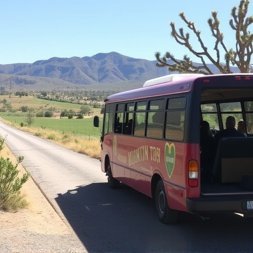 sonoita-wine-tour-shuttle-640x480-53055483.jpeg