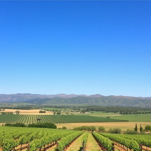 wine tour sonoita