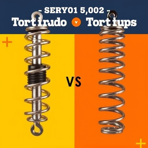 difference between torsion and extension springs explained