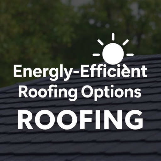Energy-Efficient Roofing Options