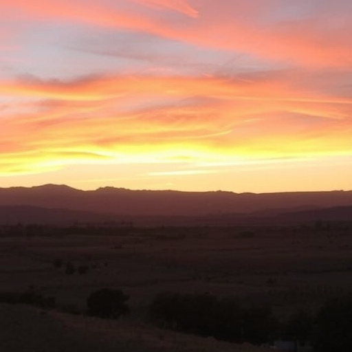 sonoita wine tasting tours