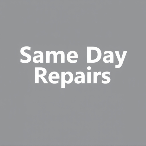 Same-Day Repairs: Track & Roller Issues Resolved Fast