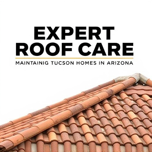 Expert Roof Care: Maintaining Tucson Homes in Arizona's Climate