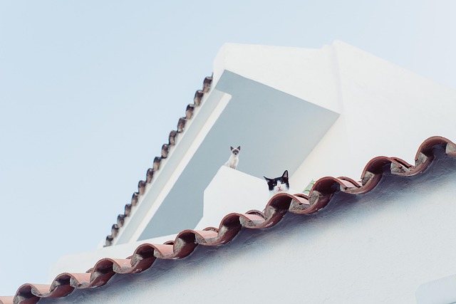 Roof Repair in Oro Valley