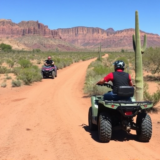 southern arizona wineries