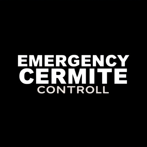 Emergency Termite Control Tucson: Infestation Solutions & Prevention