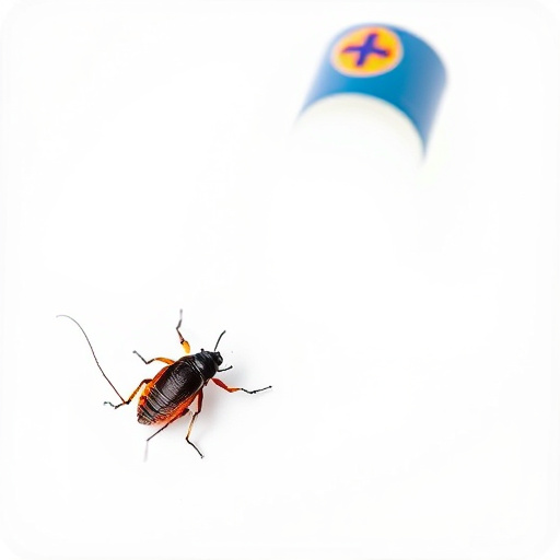 Roach Exterminator Tucson: Apartment Infestation Solutions