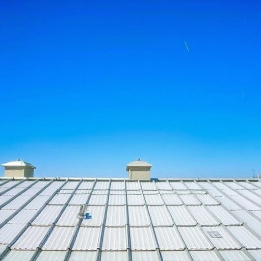 Energy-Efficient Roofing Options