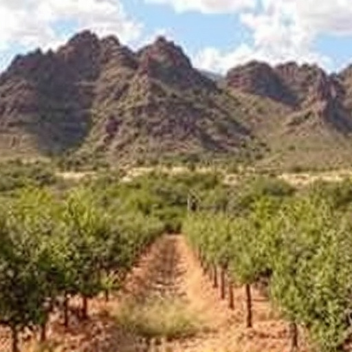 sonoita wine tours
