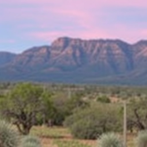 sonoita wine tours