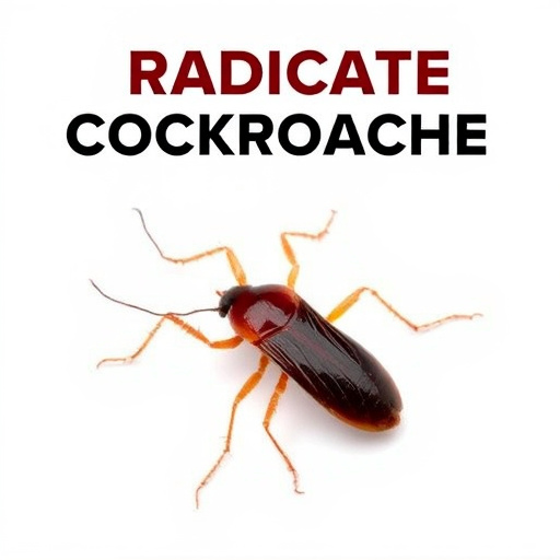 Eradicate Cockroaches: Tucson Home Defense Strategies &amp; Services