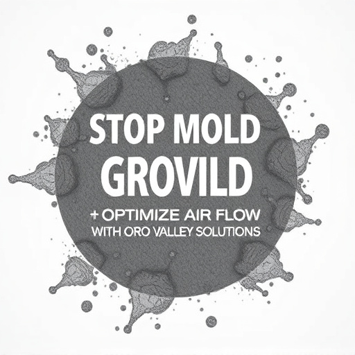 Stop Mold Growth: Optimize Air Flow with Oro Valley Solutions