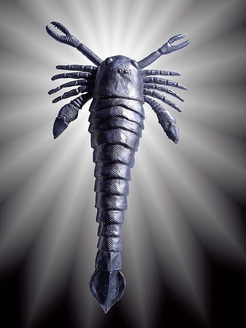 scorpion