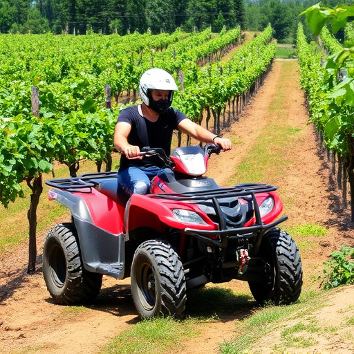 southern arizona winery