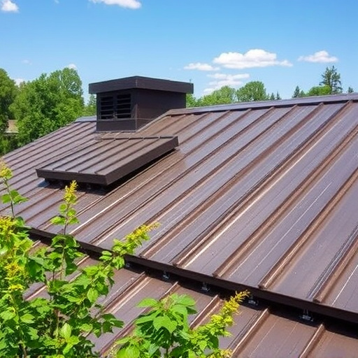 Roof Repair in Oro Valley