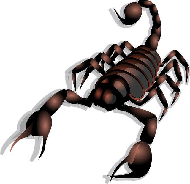 scorpion