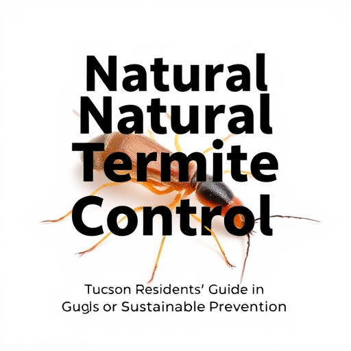 Natural Termite Control: Tucson Residents' Guide to Sustainable Prevention