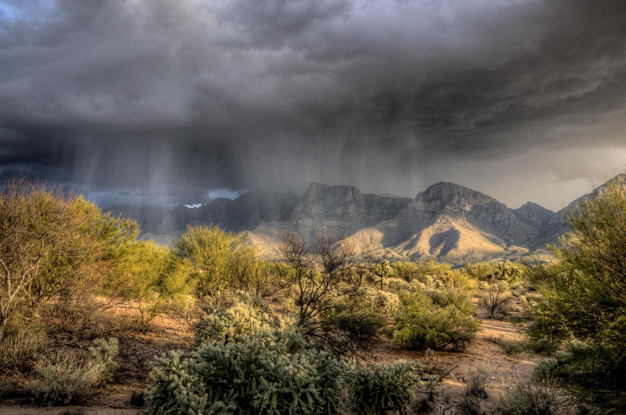 Storm Damage Roof Repair Oro Valley